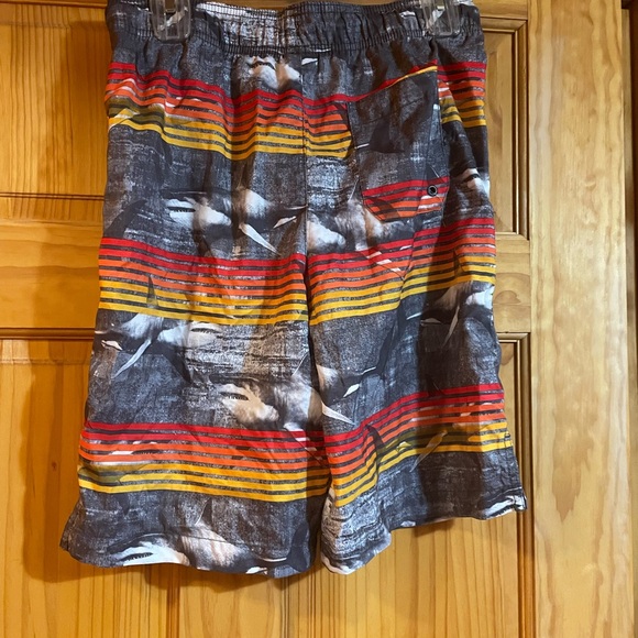 Boys XXL(16) swim trunks - Picture 1 of 3